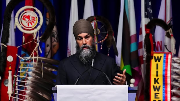 Singh tells AFN chiefs NDP will fight for Indigenous rights, justice for First Nations [Video]