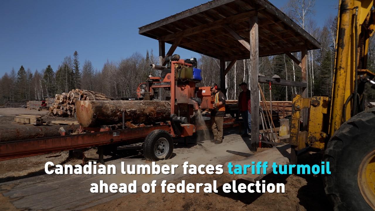 Canadian lumber faces tariff turmoil ahead of federal election [Video]
