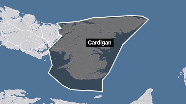 Meet the 6 people running federally in P.E.I.’s Cardigan riding [Video]