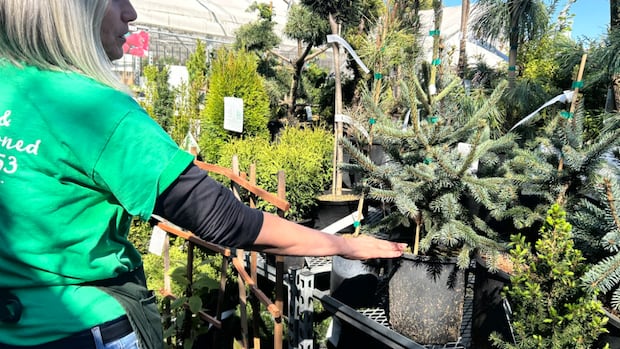 Is climate change uprooting the traditional garden? [Video]