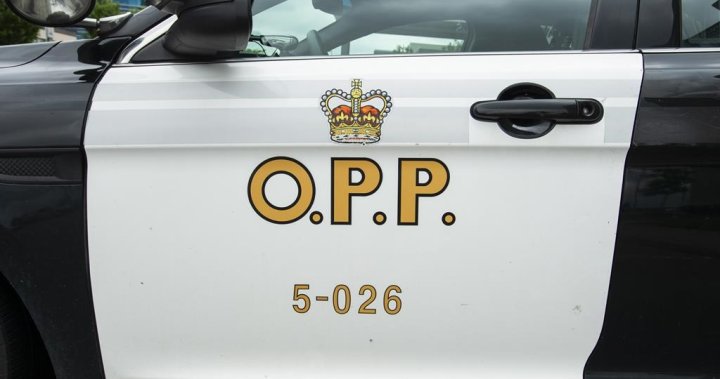 Be on guard: OPP documentary warns parents about dangers of online sexual assault [Video]