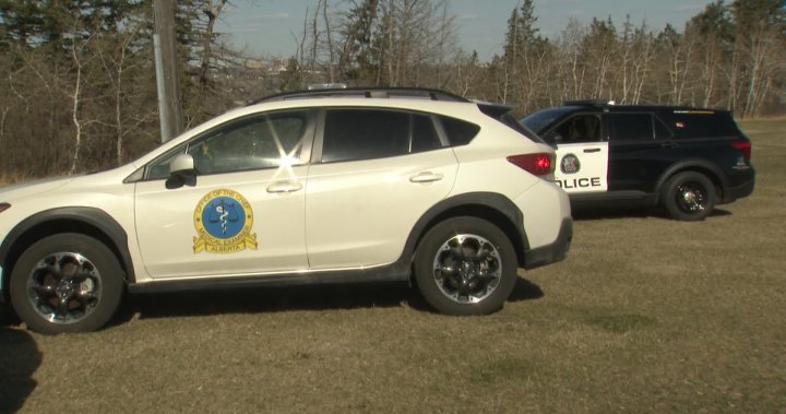 Calgary police confirm discovery of human remains in the community of Spruce Cliff – Calgary [Video]