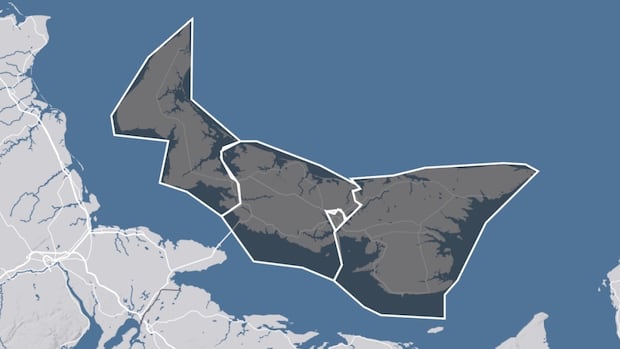 One last look at all the P.E.I. candidates running in the 2025 federal election [Video]