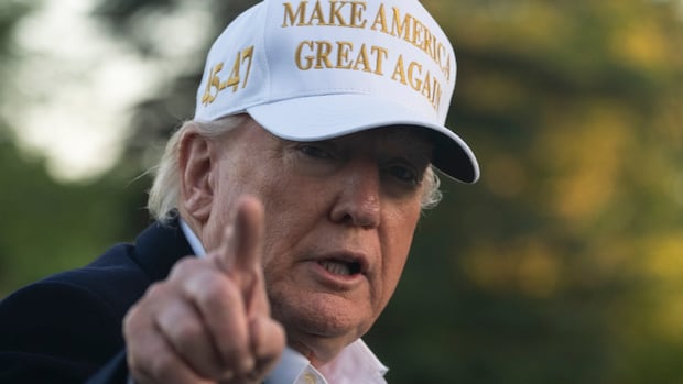 Trump implies Canadians vote for him on election day, Poilievre tells president to butt out [Video]