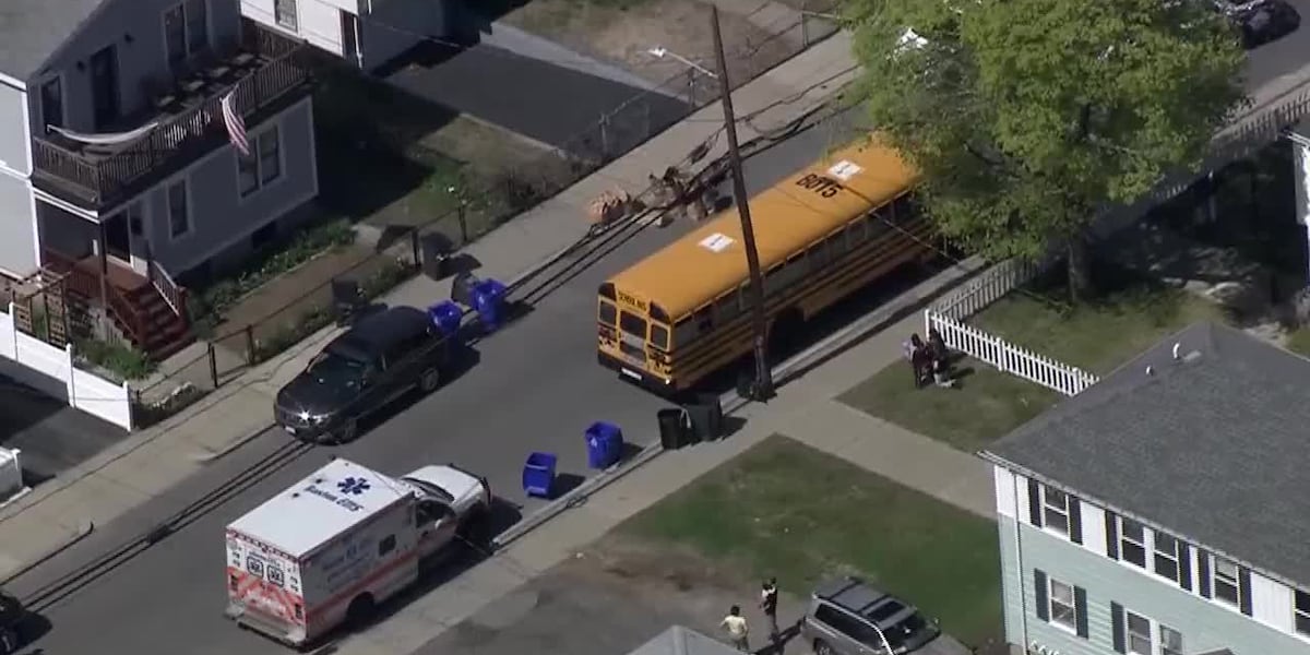 Child dies after being hit by school bus [Video]