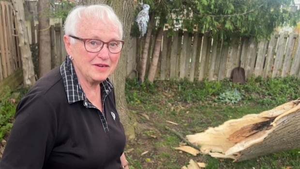 Thousands left without power in London after windy afternoon rain storm [Video]