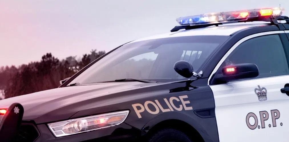 Teen dead after canoe capsizes in Ontario [Video]