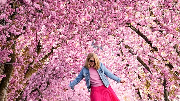 Are you flourishing? Many young adults aren’t, new study suggests [Video]