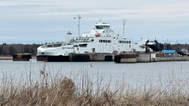 P.E.I. premier says he’ll urge Carney to ‘quickly’ live up to ferry, bridge toll reduction promise [Video]