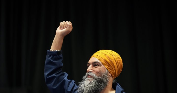 What next for the NDP after party loses leader, seats and official status? – National [Video]