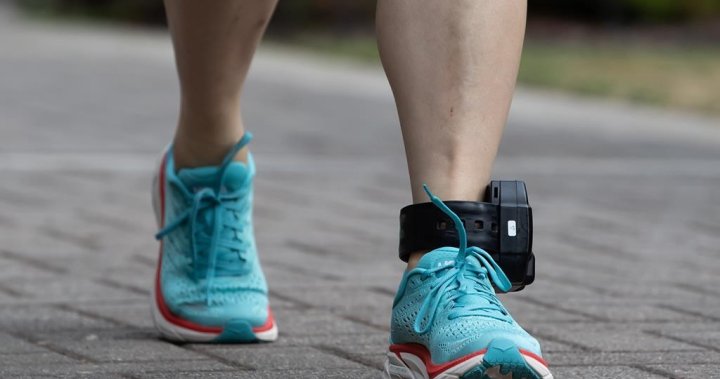 Ontario wants people ordered to wear ankle monitor to pay for it, not taxpayers [Video]