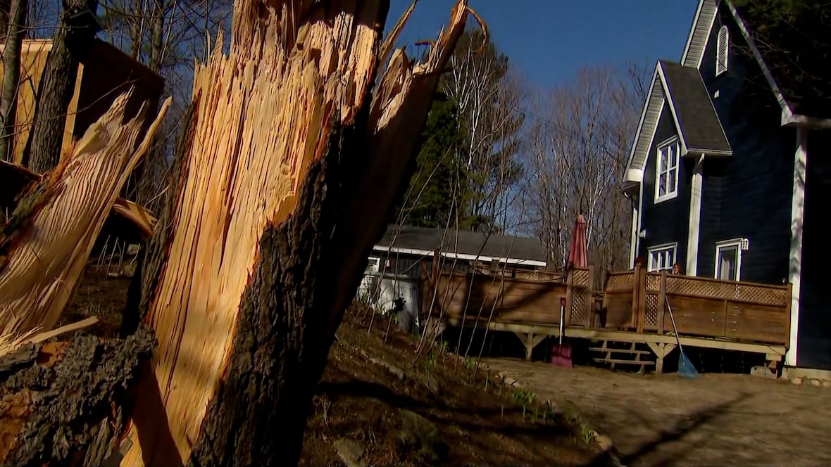 Windstorm blew through region causing damage, power outages [Video]