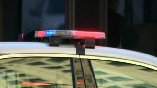 Winnipeg man charged with animal abuse, sexual assault, multiple other offences [Video]