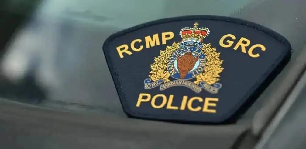 Foreign nationals detained attempting to cross into Canada through Ontario, police say [Video]