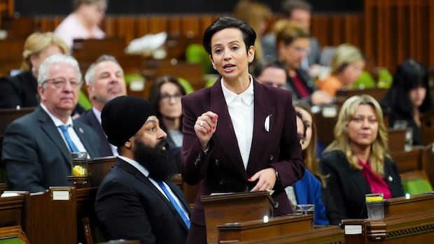Conservative caucus to meet Tuesday as MPs press on after election loss [Video]