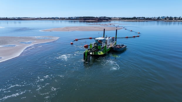 P.E.I. harbours need major dredging, not ‘putting little bandages on it,’ DFO is told [Video]