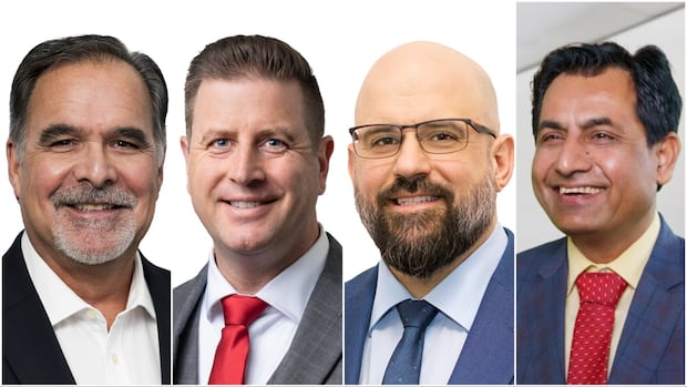 Meet the 4 new MPs elected in Hamilton and Niagara [Video]