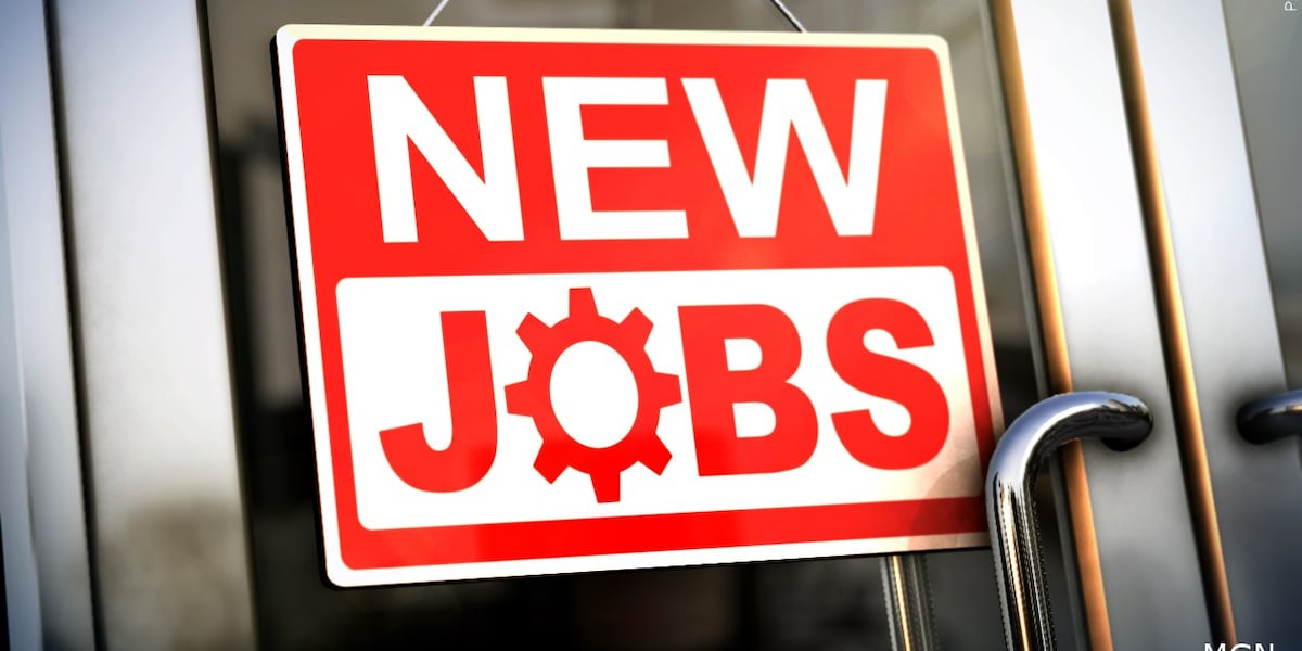 Aerowerks to establish first US operation in Cherokee County [Video]