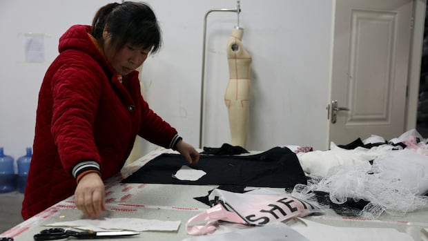 The U.S. tax loophole that made Shein and Temu rich is changing. What will happen to the brands now? [Video]