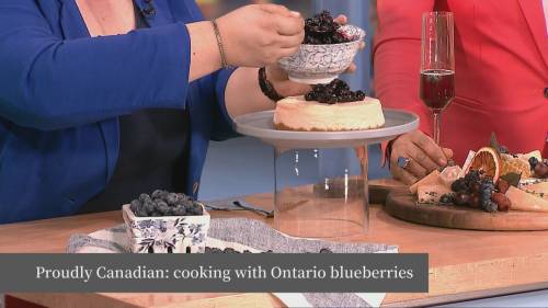 Proudly Canadian: Exploring Ontarios Blueberries [Video]