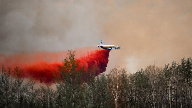 Northeast hardest hit as B.C. wildfire season gets underway [Video]