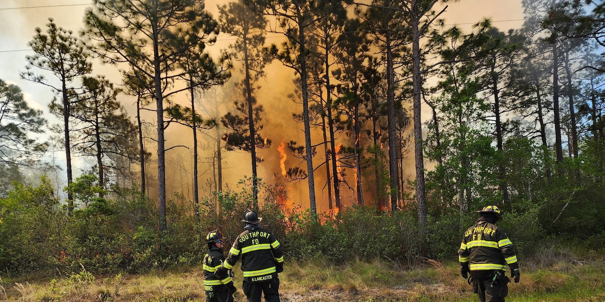 NCDEQ declares code red air quality due to Boiling Spring Lakes Fire [Video]