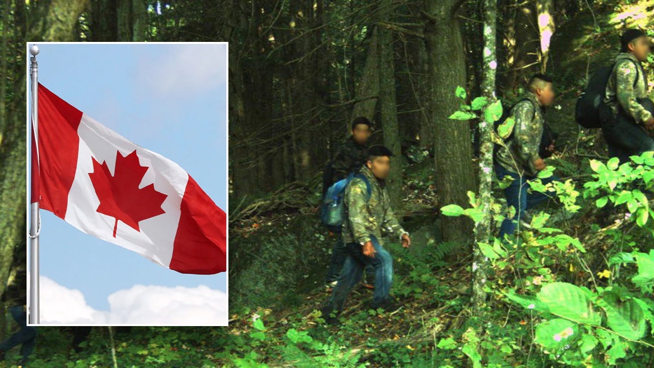 Illegal immigrants accused of smuggling aliens from Canada into U.S. [Video]