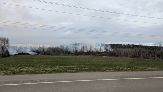 Evacuation order, alert rescinded for wildfire south of Prince George, B.C. [Video]