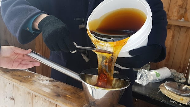Sticky situation: U.S. tariffs could make maple syrup a ‘prime target’ for fraud, Guelph researcher warns [Video]