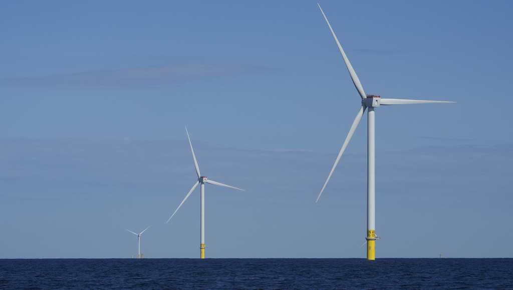 States sue Trump over wind energy project ban [Video]