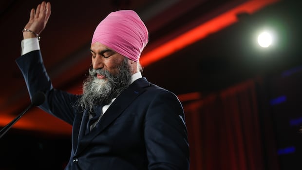 NDP expected to choose interim leader Monday evening: sources [Video]