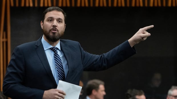 Conservative Damien Kurek says he’ll step aside for Poilievre  but by law he has to wait [Video]