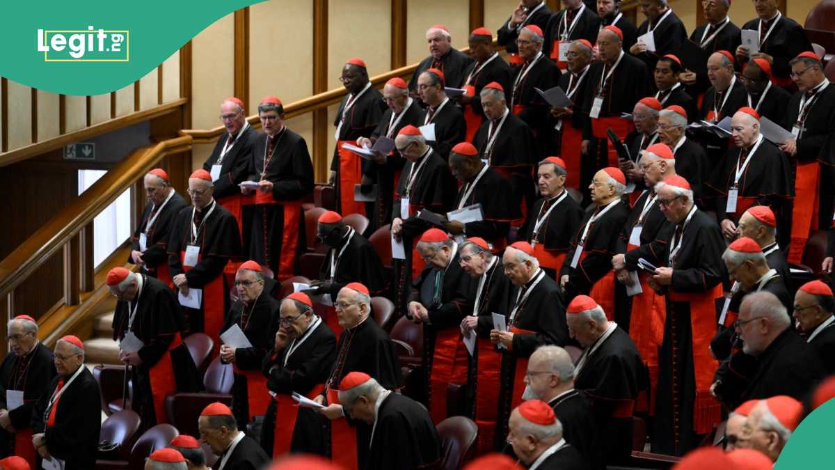 Two Cardinals Set to Elect New Pope Break Silence, List Two Challenges Before the Next Pontiff [Video]