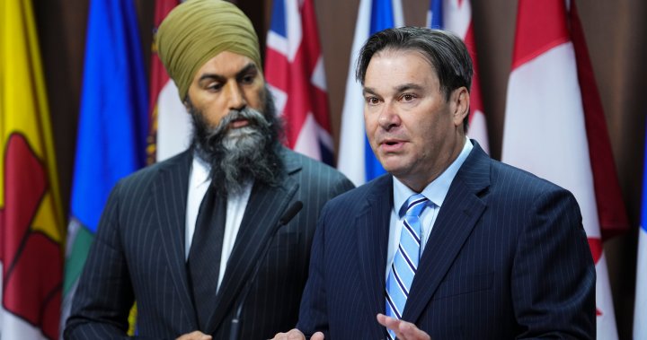 NDP choose Vancouver MP Don Davies as interim leader [Video]
