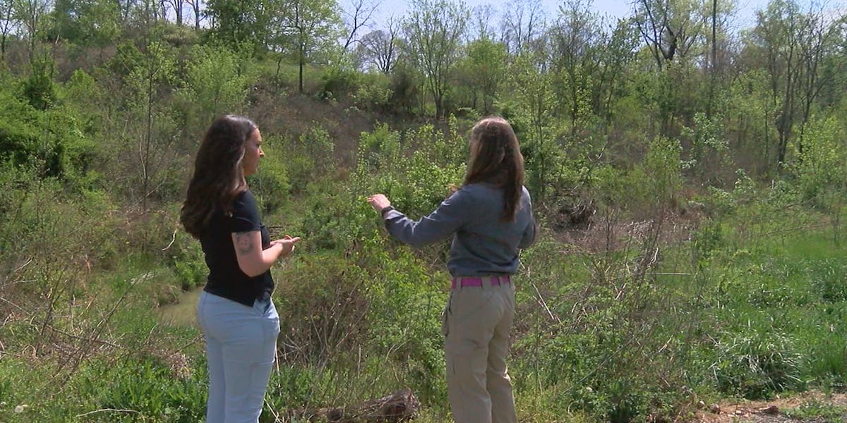 Unearthing streams, restoring native environment at Shawnee Lookout [Video]