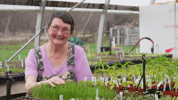 Planting before the May long weekend? It depends what you want to grow, and how [Video]