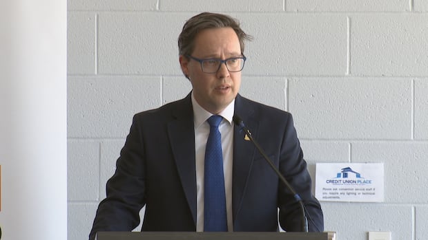 Attainable housing, downtown rebirth focus of Summerside