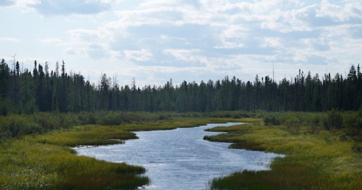 Critics slam Ontario for proposal to create zones where projects are exempt from laws [Video]