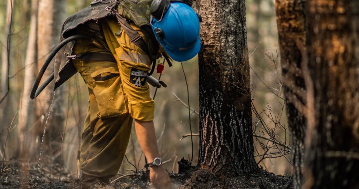 Wildfire threatens Boyle, village and surrounding Athabasca County ordered to evacuate - Edmonton [Video]