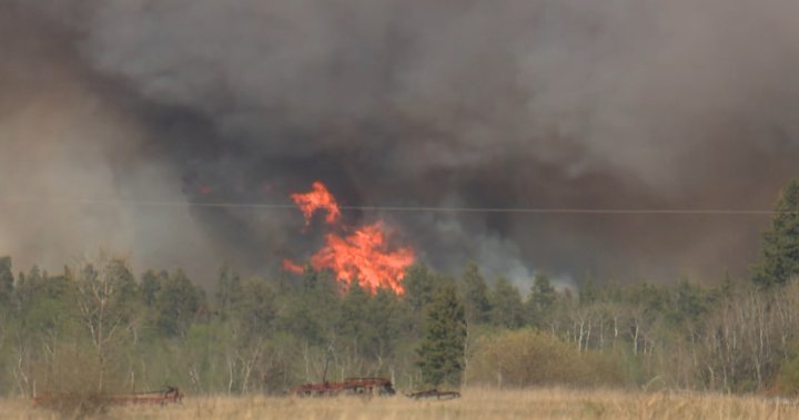 Much of Alberta under fire bans amid soaring temperatures, gusting winds [Video]