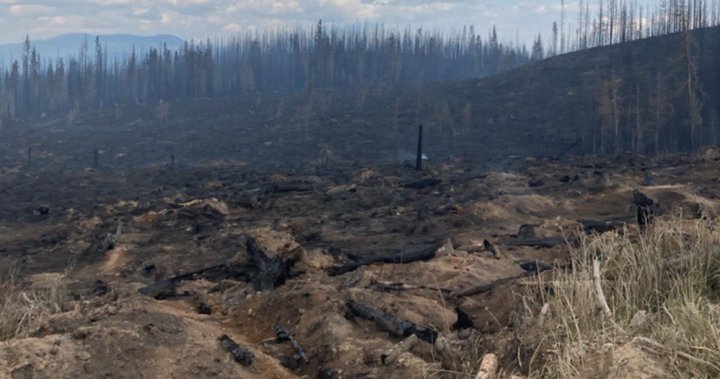Planned burn during 2023 Shuswap wildfires could have turned deadly: report [Video]