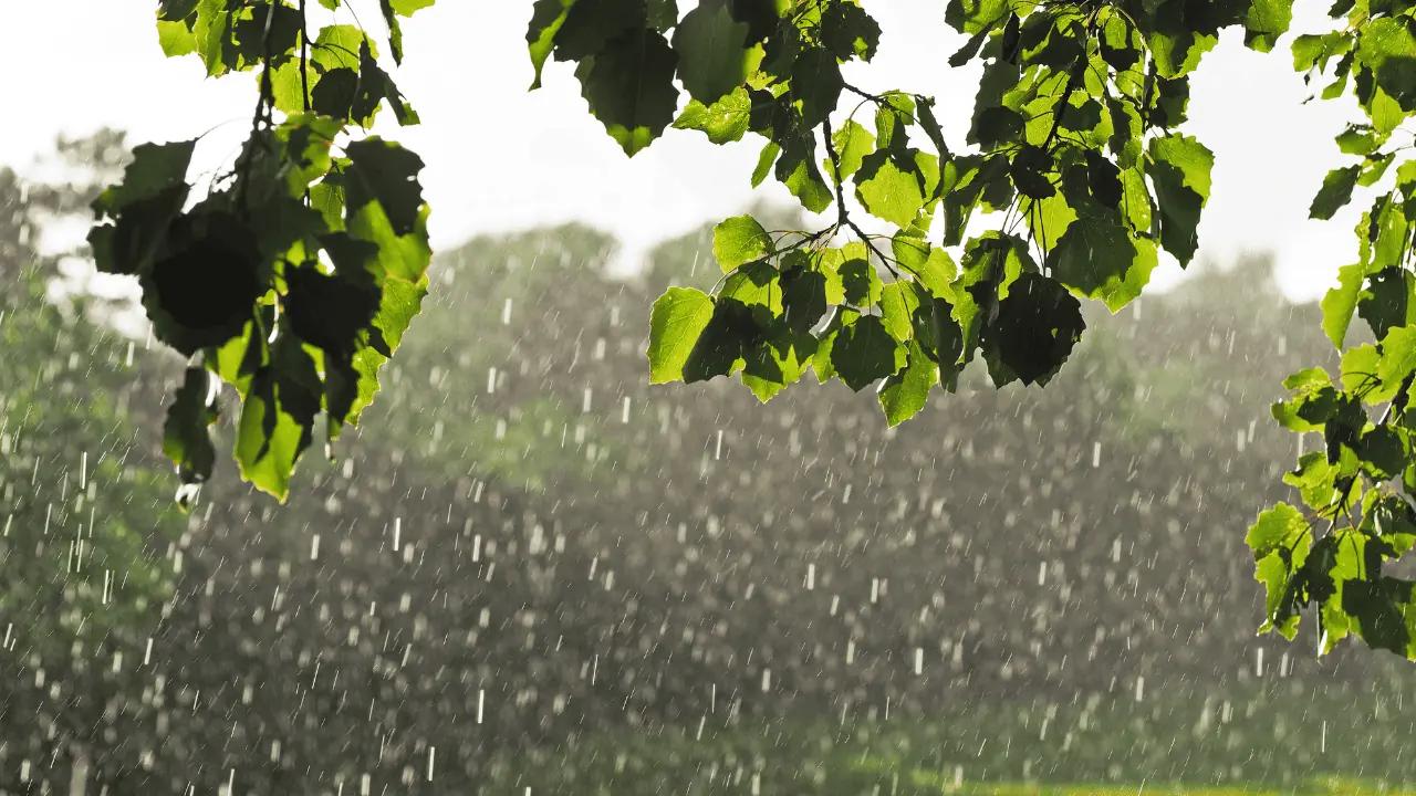 May 8 weather: Showers with risk of frost overnight for parts of southern Ontario [Video]