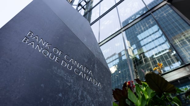 U.S. trade war risks Canadian progress on financial stability, says Bank of Canada [Video]