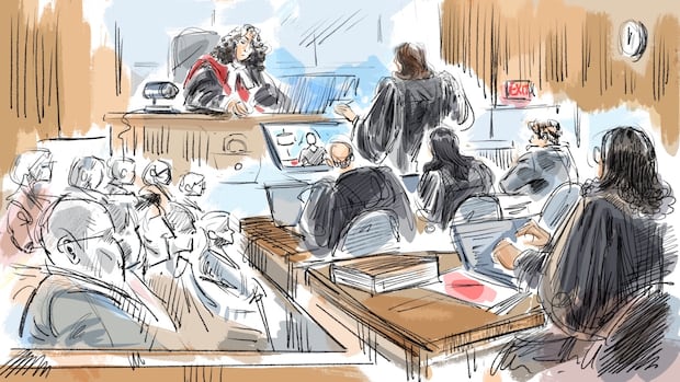 Defence in ex-world juniors sex assault trial suggests womans alter ego didnt think of the consequences [Video]