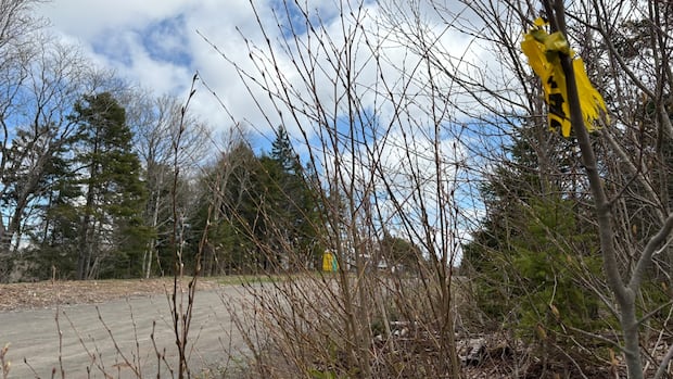 Ground search crews depart N.S. community where children went missing [Video]