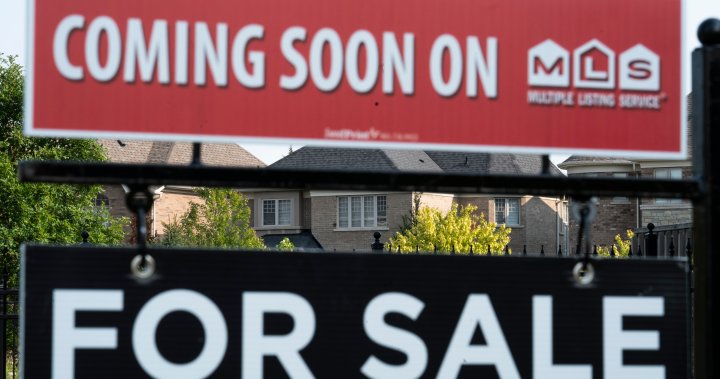 Canadas housing market is cracking under Trumps trade war: report – National [Video]