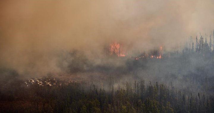 Restrictions in place to fight spread of Manitoba wildfires, province says – Winnipeg [Video]