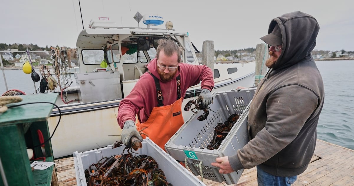 Fishermen battling with changing oceans chart new course after Trump’s push to deregulate  WSOC TV [Video]