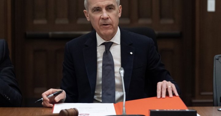 As Canada and Europe look to partner on defence, what could that look like? – National [Video]