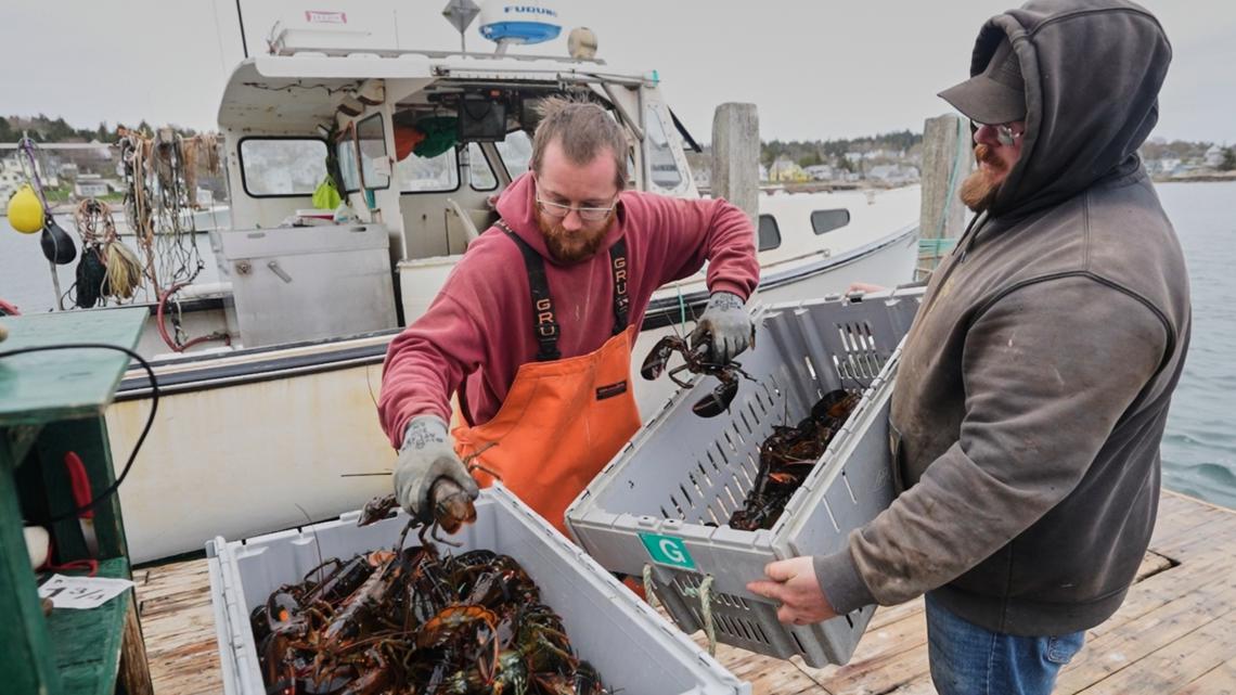 Fishermen adapt to changing oceans amid Trump-era deregulation efforts [Video]
